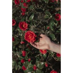 Polaroid Hi Print 2x3 Kartuş ve Kağıt Seti (60'lık)