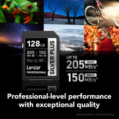 Lexar 128GB Silver Plus 255MB/s SDXC Hafıza Kartı