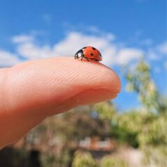 Insta360 Micro Lens Go Ultra