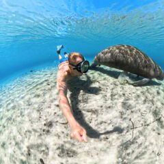 Insta360 X5 Invisible Dive Case
